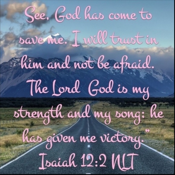 ⚜️ Willi Smith Dusty Rose Suede Jacket size XL NPLVC - Picture 16 of 16